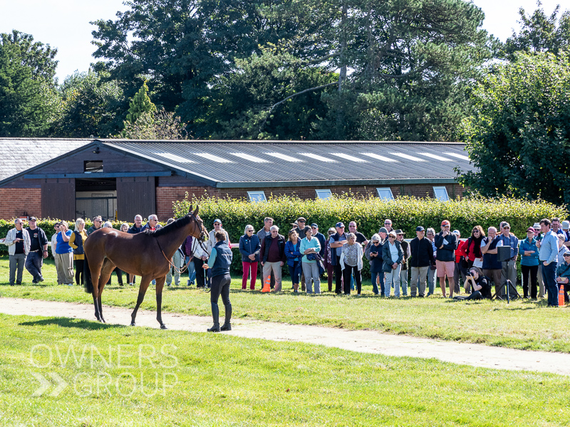 Harry Charlton Stable Visit - 17 September 2024